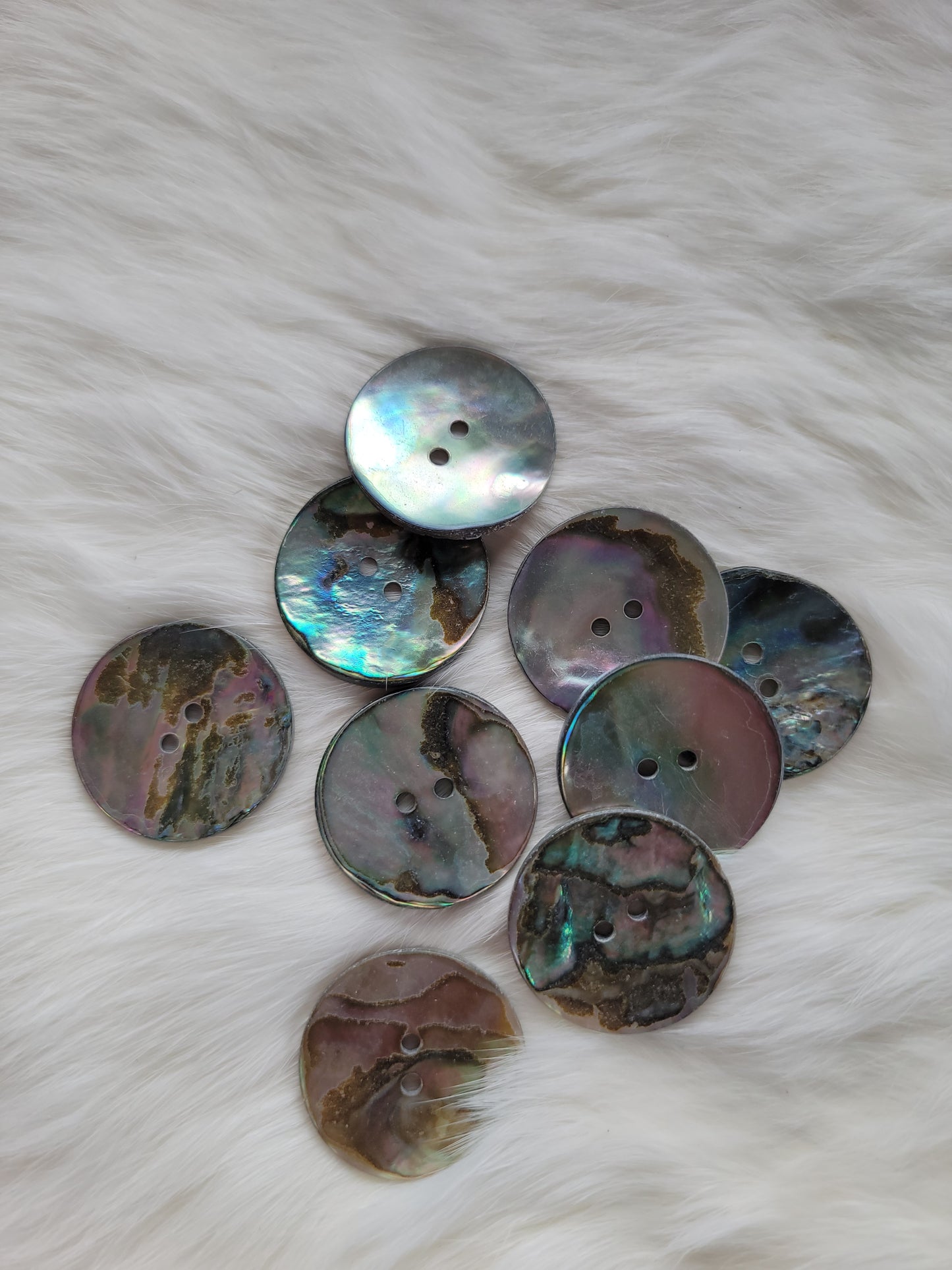 Abalone Buttons