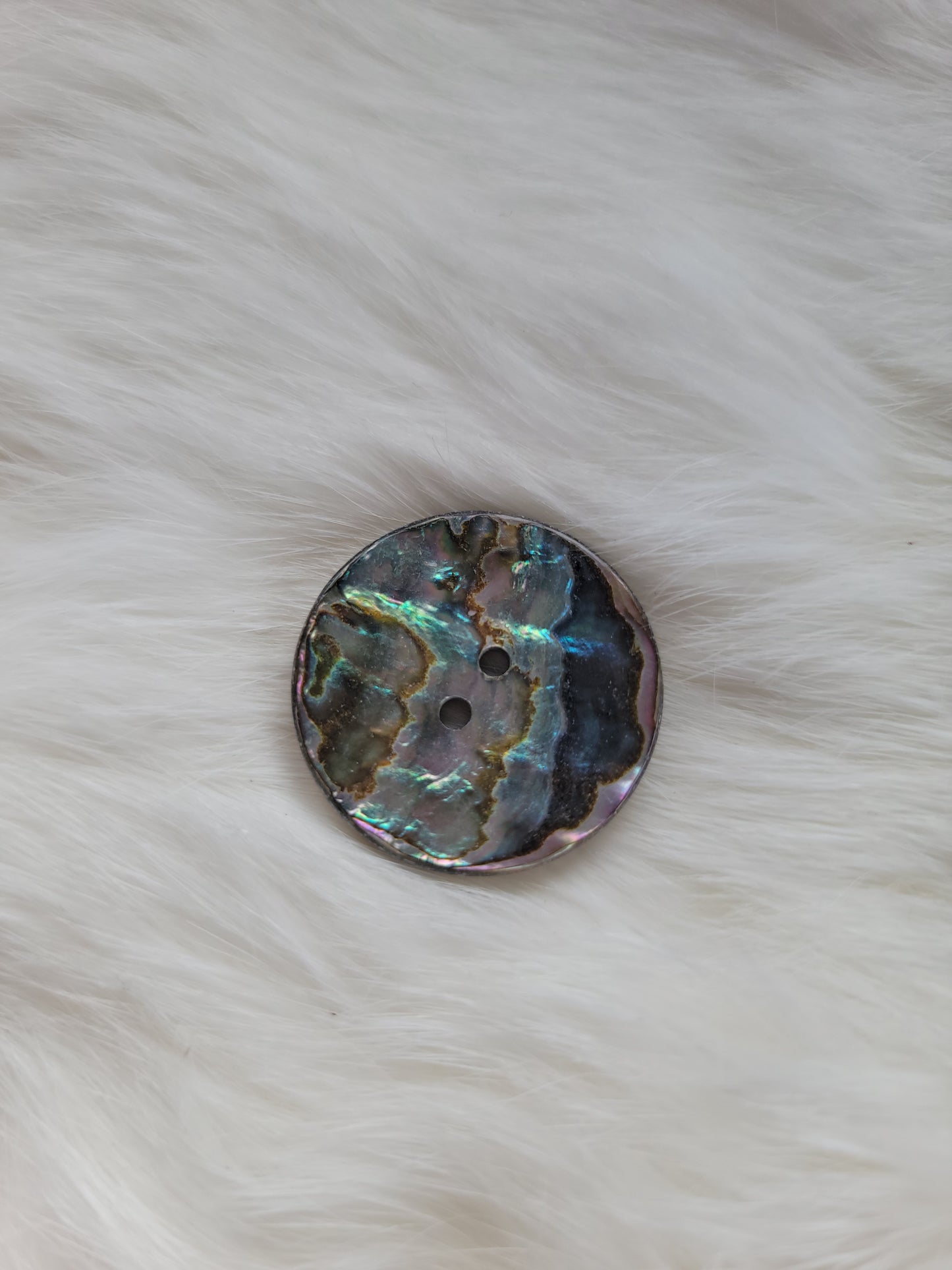 Abalone Buttons