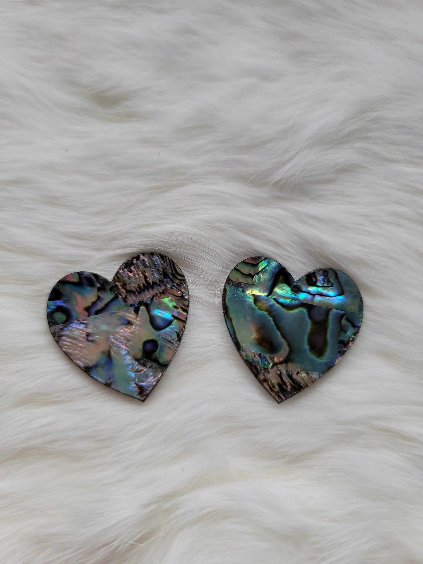 Heart Abalone