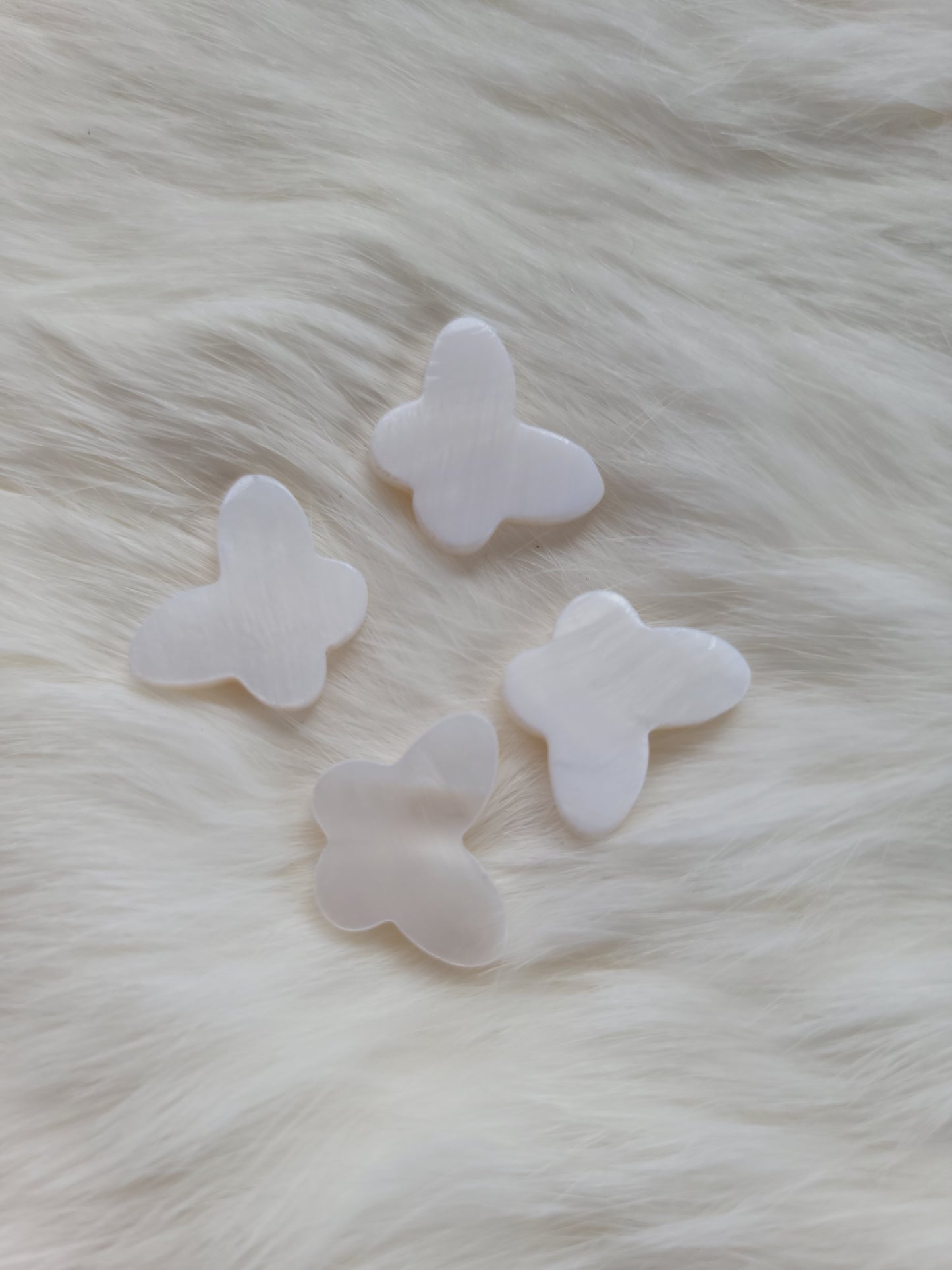 Small Butterfly shells