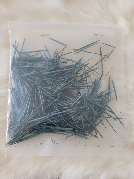 Porcupine Quills - Teal